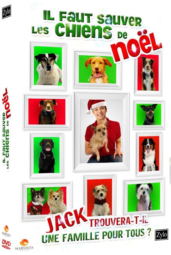 Il faut sauver les chiens de Noël [DVD]