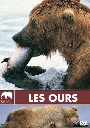 Les Ours [DVD]