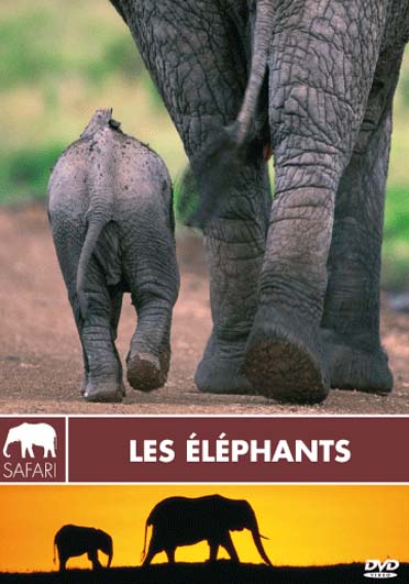 Les éléphants [DVD]