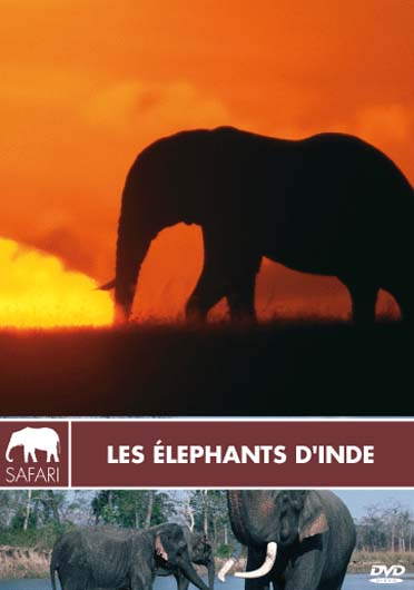 Les éléphants D'Inde [DVD]