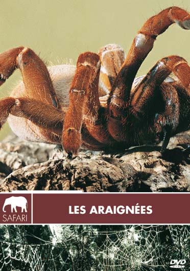 Les Araignées [DVD]