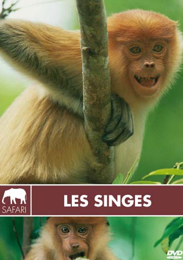 Les Singes [DVD]