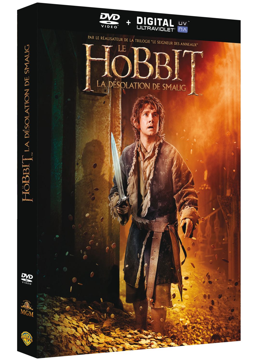 Le Hobbit : La Désolation de Smaug [DVD à la Location]