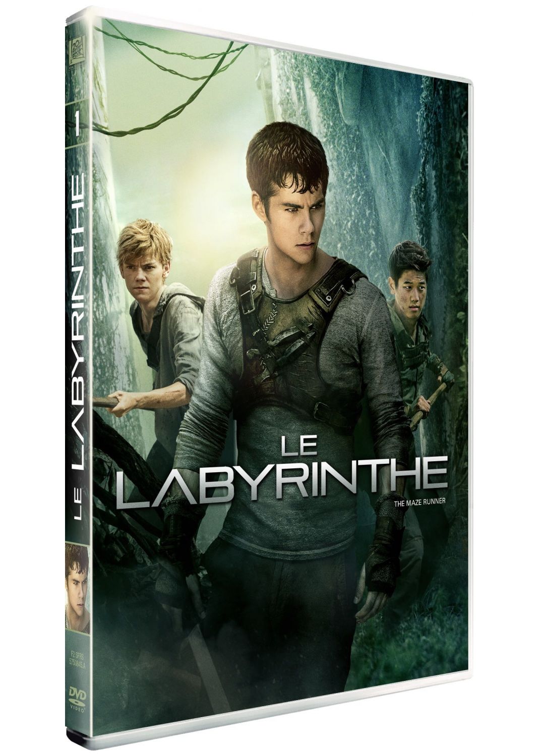 Le Labyrinthe [DVD à la Location]