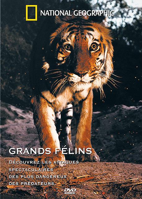 Grands Félins [DVD]