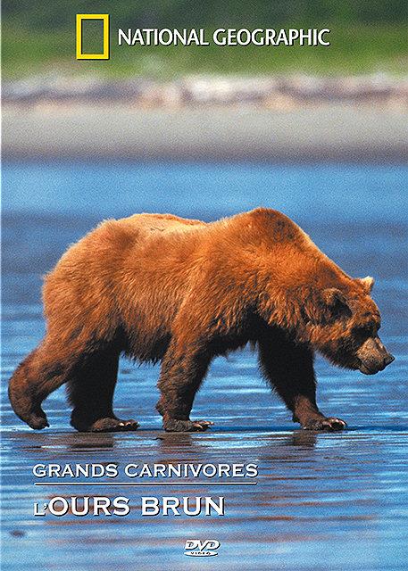 Grands Carnivores : L'ours Brun [DVD]