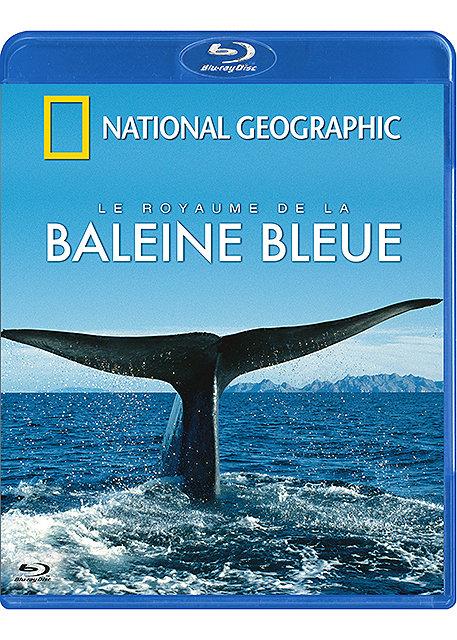 National Geographic - Le royaume de la baleine bleue [Blu-ray]