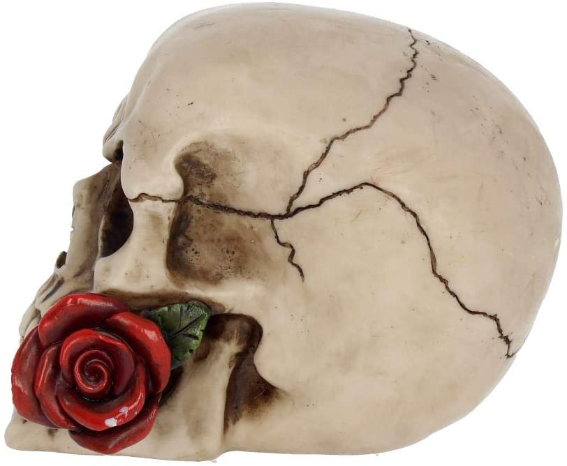 Rose from the Dead Skull 15cm