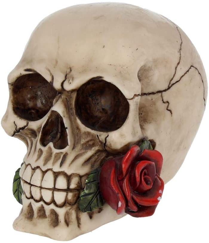 Rose from the Dead Skull 15cm