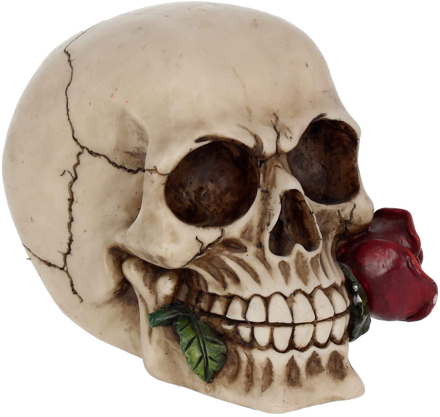 Rose from the Dead Skull 15cm