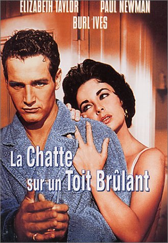 La Chatte sur un toit brûlant [DVD]