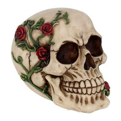 Rose from Beyond Skull 15cm