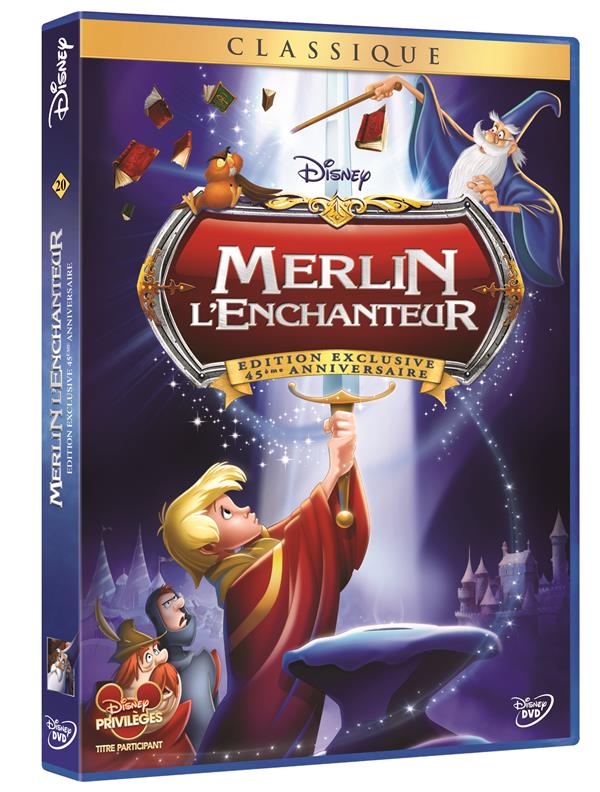 Merlin l'enchanteur [DVD]