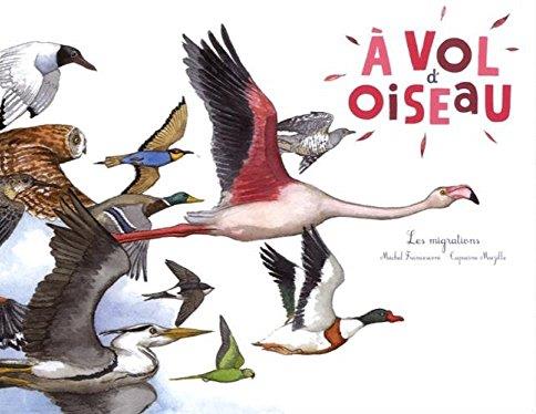 à vol d'oiseau ; les migrations