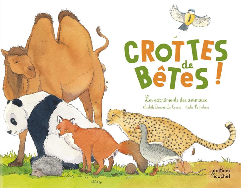 Crottes de bêtes ; les excréments des animaux