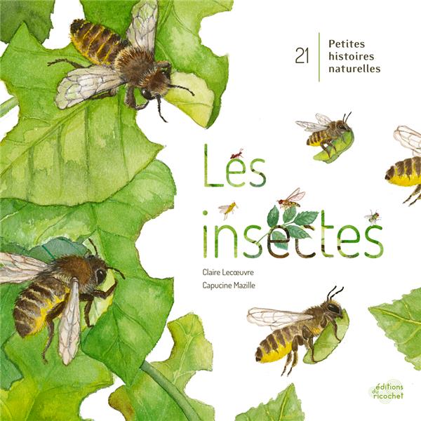 21 petites histoires naturelles : Les insectes