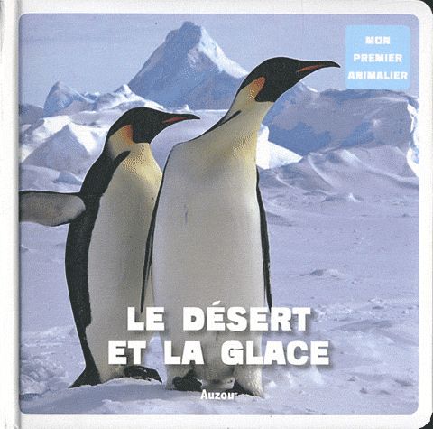 Le désert et la glace