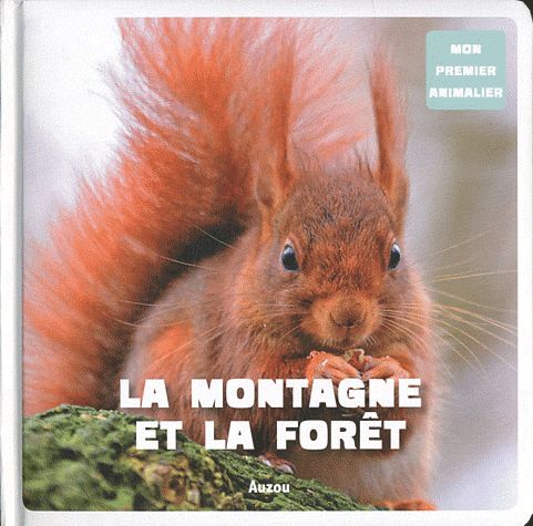 La montagne et forêt