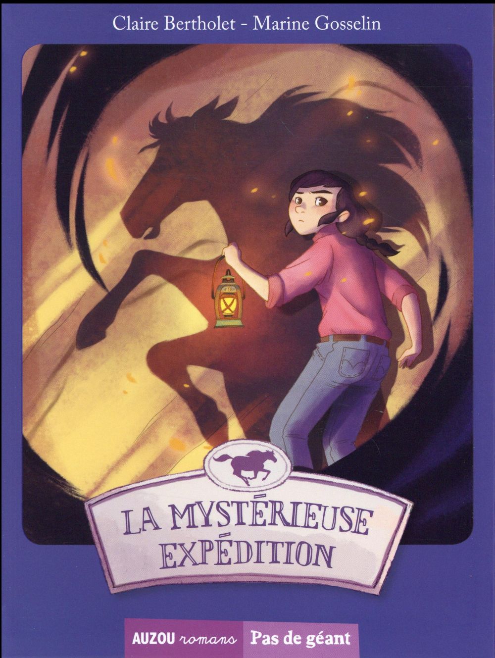 Les aventures d'Esther et Colin Tome 3 : la mystérieuse expédition