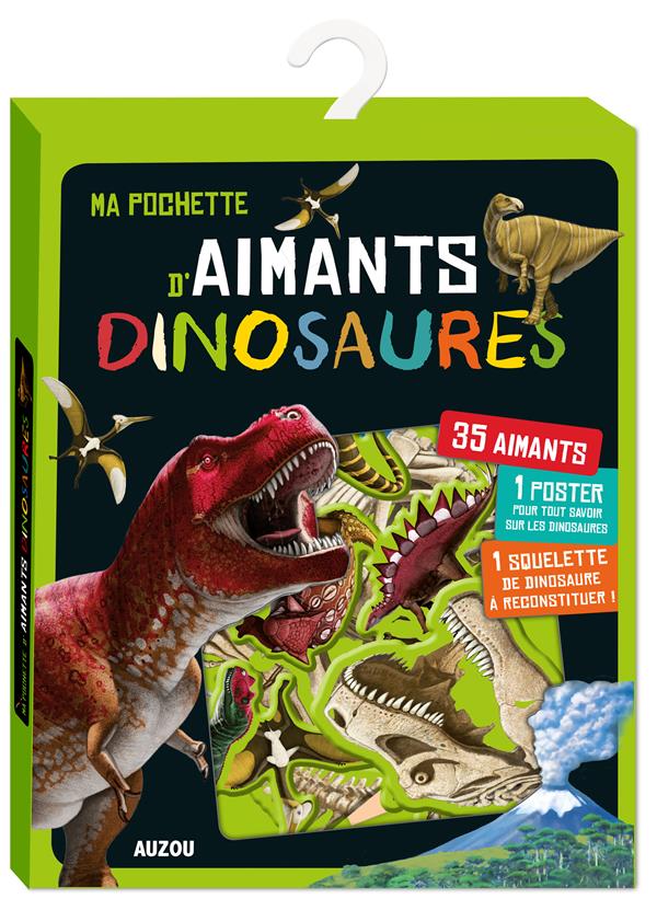 Ma première pochette d'aimants : ma pochette d'aimants dinosaures (2e édition)