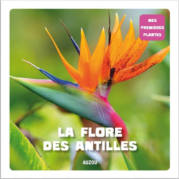 Mes premières plantes : la flore des Antilles