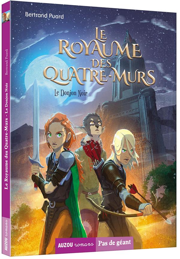 Le royaume des quatre-murs Tome 1 : le donjon noir