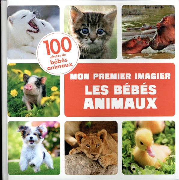 Les bébés animaux