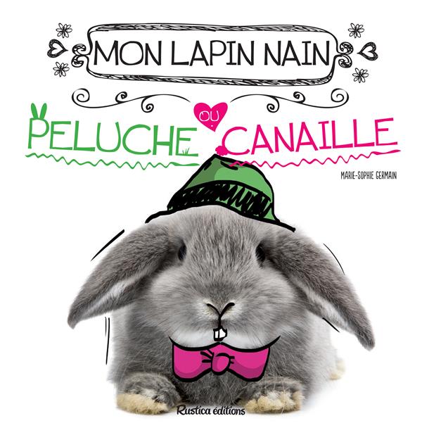 Mon lapin nain ; peluche ou canaille ?