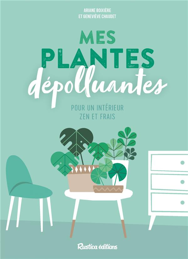 Mes plantes dépolluantes pour un intérieur zen et frais