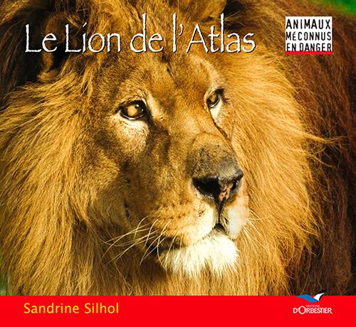 Le lion de l'Atlas