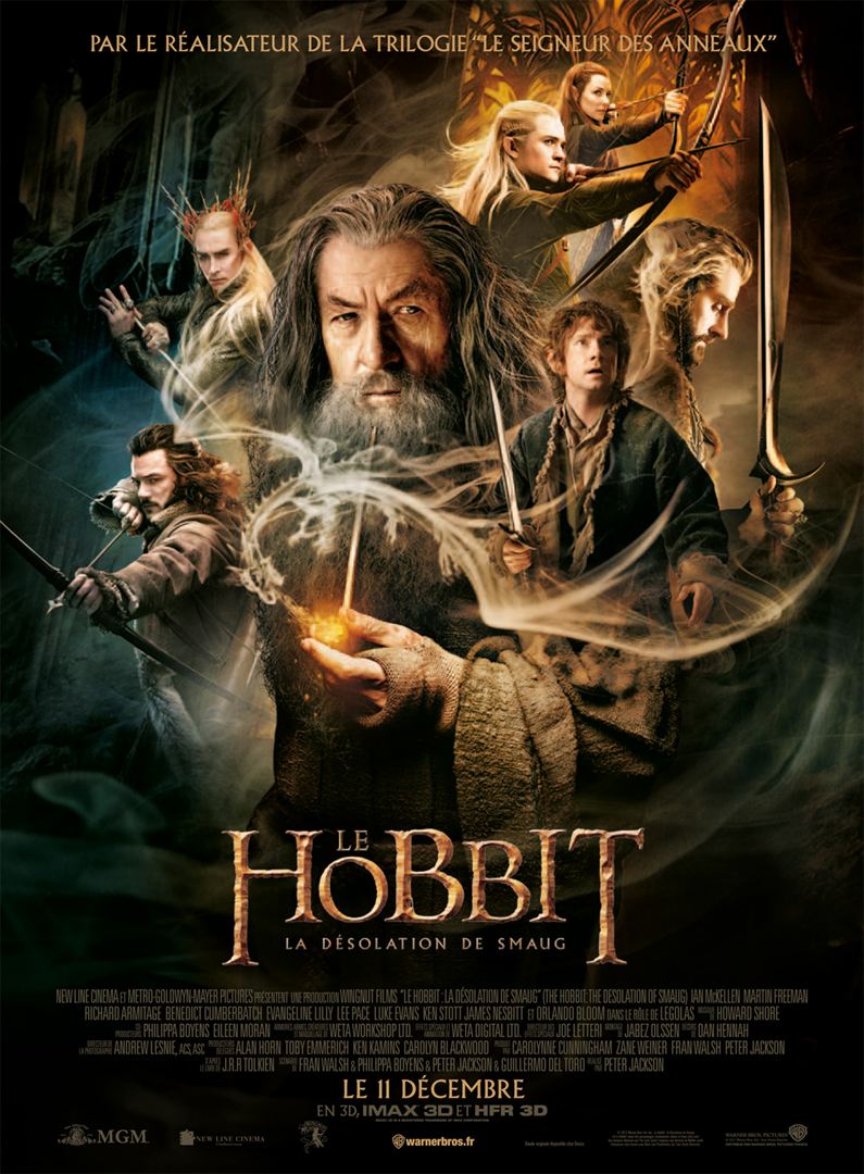 Le Hobbit : La Désolation de Smaug [DVD à la Location]